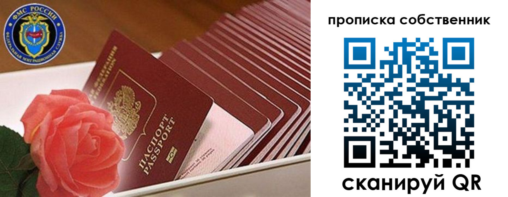 прописка поиск в Ржеве